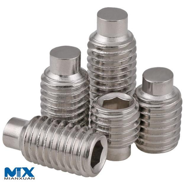 Установочные винты с шестигранной головкой из нержавеющей стали и собачьей головкой